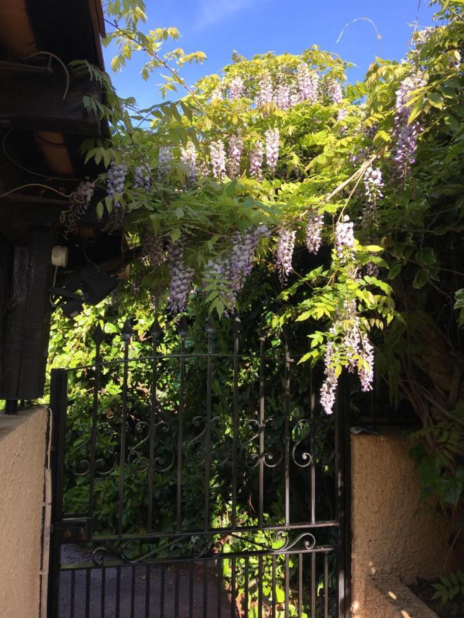 Villa Lucie 瓦尔邦讷 外观 照片